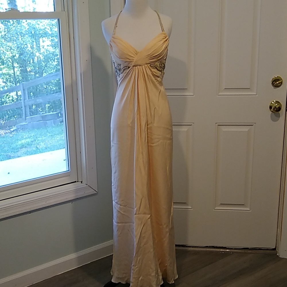 Vintage Niteline Della Roufogali Prom Dress